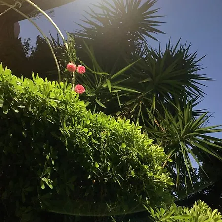 Bed and breakfast L'orologio Signa